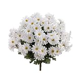 Return to product information