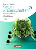 Produkt-Bild: Natur und Technik - Naturwissenschaften: Differenzierende Ausgabe - Ausgabe N: Band 5/6 - Sch&uuml;lerbuch: Naturwissenschaften interaktiv