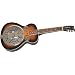 Rogue Classic Spider Resonator Sunburst Squareneck