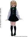 PN Yシャツ サックス