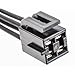 Motorcraft - Wire Assy (P) (WPT1014)