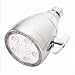 Anystream 2000 5 Jet Shower Head in Chrome
