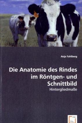 Schnittbild