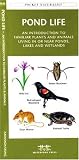 Pond Life: An Introduction to Familiar Plants and Animals Living in or Near Ponds, Lakes and Wetlands (North American Nature Guides)