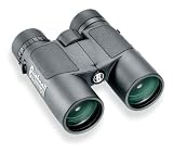 Bushnell