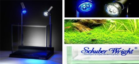 Schuber Wright Crustacean Star Blue Rimless Aquarium, 4-Gallon