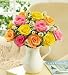 Flowers by 1800Flowers – Pitcher Full of Roses – One Dozen Assorted Roses