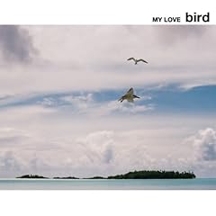 【クリックで詳細表示】MY LOVE(初回限定盤) [Limited Edition]