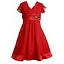 Bonnie Jean Plus Size Girls Red Christmas Holiday Dress 12.5-20.5
