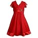 Bonnie Jean Plus Size Girls Red Shimmer Christmas Holiday Dress 20.5