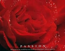Passion (Red Rose) Art Poster Print - 16" X 20"