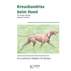 Kreuzbandriss beim Hund: Ein praktischer Ratgeber f&uuml;r Besitzer