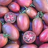 41 rMPuRgSL. SL160  Purple Russian Tomato Seed