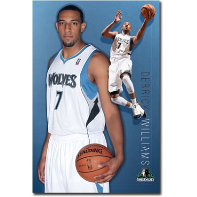 (22x34) Minnesota Timberwolves Derrick Williams Sports Poster
