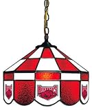 Arkansas Razorbacks 14 Executive Swag Hanging Lamp NCAA College Athletics