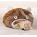 Pet Supplies : Jungle Cat Cave.