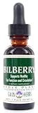 Bilberry (4 Fluid Ounces) Gaia Herbs