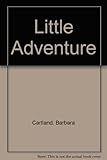 The little adventure
