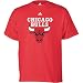 Search : adidas Chicago Bulls Primary Logo Short Sleeve T-Shirt