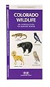 Colorado Wildlife: An Introduction to Familiar Species of Birds, Mammals, Reprtiles, Amphibians, Fish and Insects