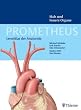 PROMETHEUS Lernatlas der Anatomie. Hals und Innere Organe