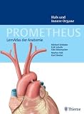 PROMETHEUS Lernatlas der Anatomie. Hals und Innere Organe