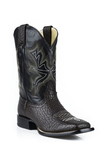 stetson snakeskin boots