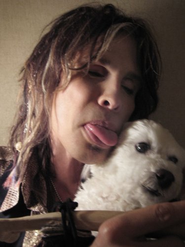 A Rare Breed of Love: The True Story of Baby and the Mission She Inspired to Help Dogs Everywhere under Animals in The Books Store