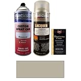 12.5 Oz. Light Pewter Metallic (Interior) Spray Can Paint Kit for 2002 Chrysler PT... by PaintScratch Automotive Touch Up Paint