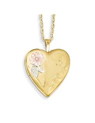 14k Gold-filled w/ 12k Accents Black Hills Locket. Metal Wt- 4.67g