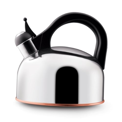 => Paula Deen Signature Teakettles 2Quart Stainless Steel Classic