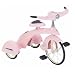 Search : Sky King Jr. Pink Tricycle