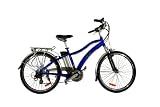 LX1 Electric Bicycle
