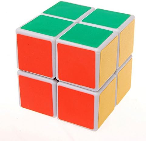 SMARTOYS 2x2x2 Magic Cube Twist Speed Puzzle Beginer Brain Development Educational Toy Brainteaser