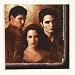 The Twilight Saga: New Moon Beverage Napkins 16 Pack