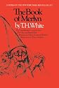 The Book of Merlyn