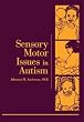 Sensory Motor Issues in Autism