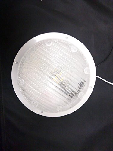 41-tbF6csHL.jpg