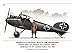 Albatros Fighter Aircraft of WWI (Spotlight ON)