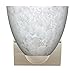 Besa Lighting 1WZ-757219-LED-CR 1X75W A19 Sasha II Wall Sconce with Carrera Glass, Chrome Finish
