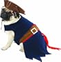 Jack Sparrow Halloween Pet Costume, Medium, 12-17 lbs