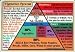 Health & Personal Care : Helion Communications - Vegetarian Food Pyramid - Wallet Cards