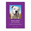 Wine Dogs Usa Edition