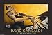 Afternoon Sounds Art Poster PRINT David Garibaldi 36x24