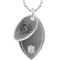 NFL Chicago Bears 2 Piece Steel Sport Tag - 26"
