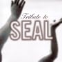 Tribute to Seal