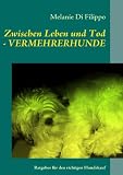 Zwischen Leben und Tod - VERMEHRERHUNDE: Ratgeber für den richtigen Hundekauf