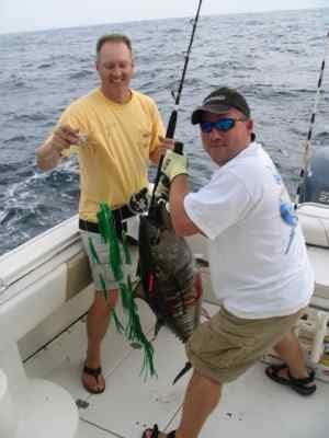 Reel Draggin' Tackle - Sport SQUID Dredge