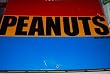 Peanuts 1972 Date Book