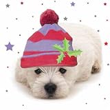 Eigenschaften Otter House  / Weihnachtskarte Winter Warmers Westie Hat
